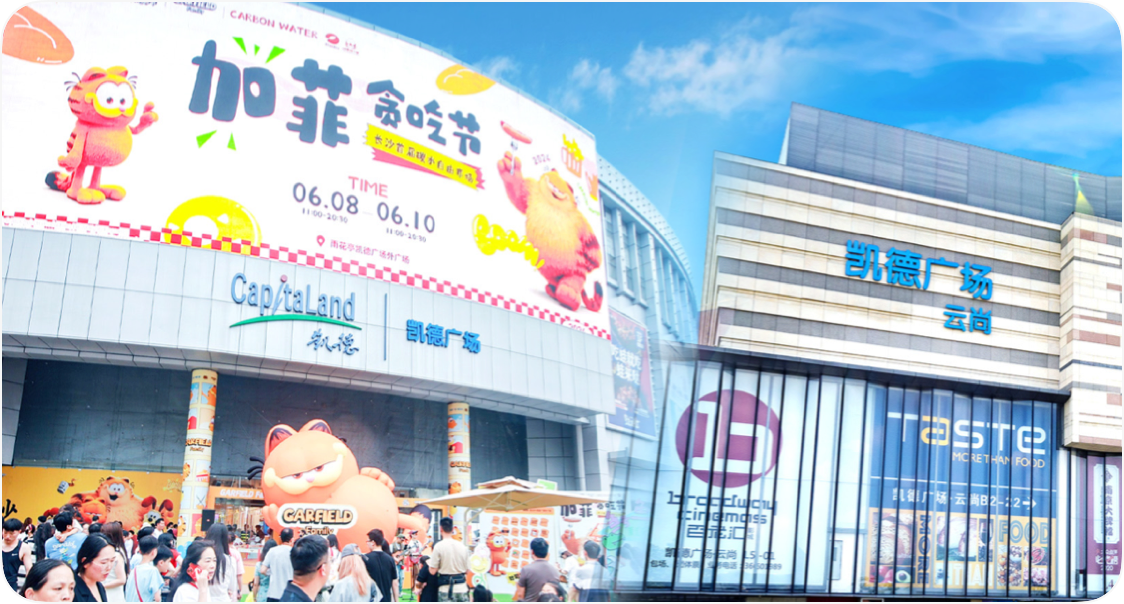 Shopping Mall Portfolio